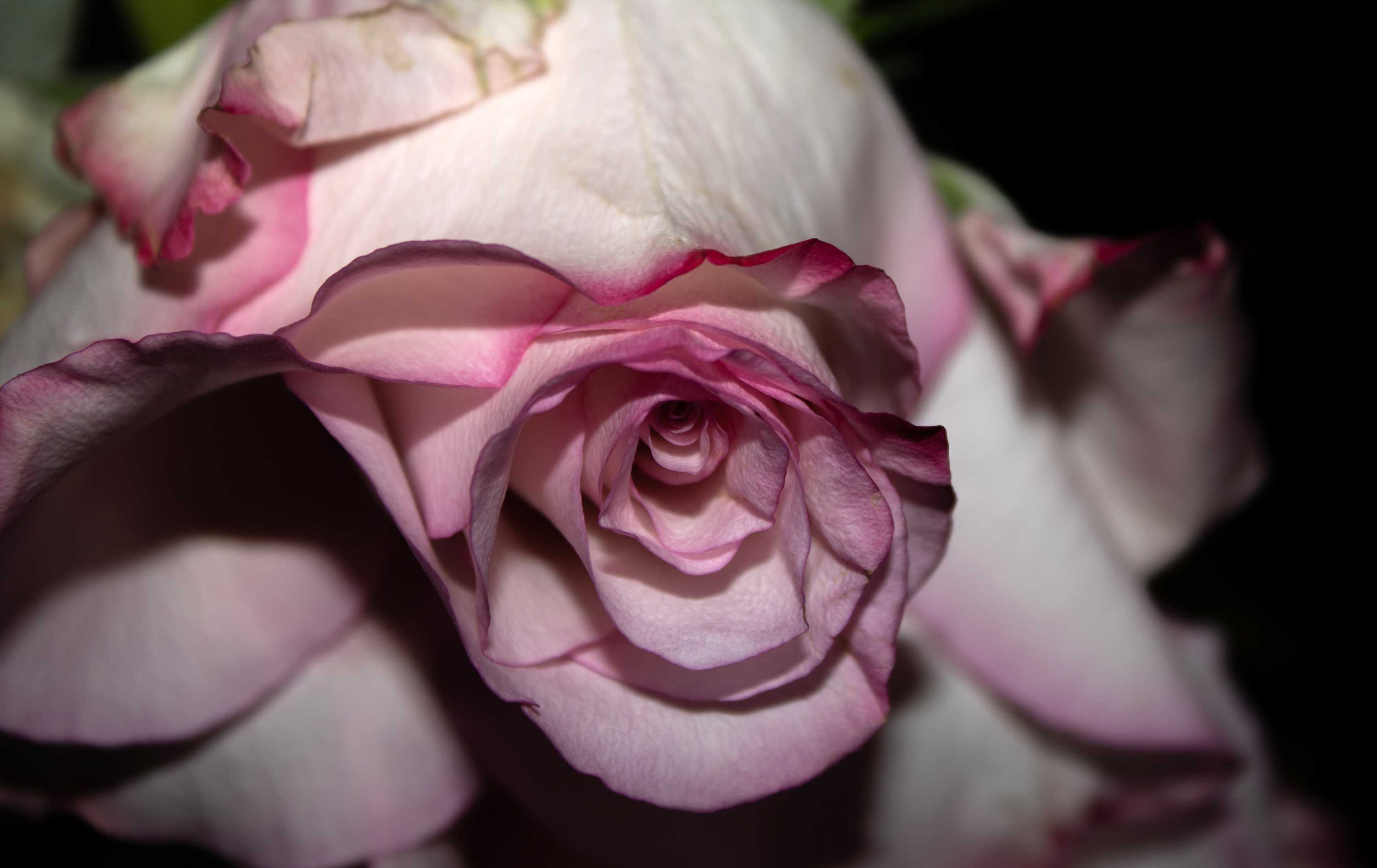 2022 Photo 3